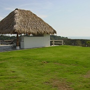 Picture 047